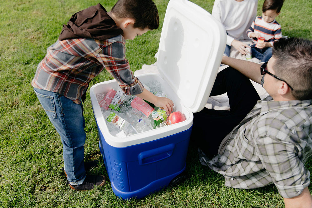 Igloo Ice Cube 60-Quart Roller Cooler exterior and interior dimensions for planning
