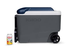 Igloo Maxcold 40 Roller body aquamarine sea highlights efficient insulation for extended cold