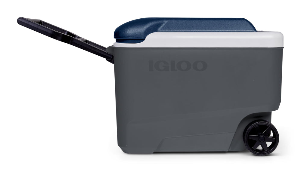 Igloo Maxcold 40 Roller in use setup for camping or picnics shows practicality