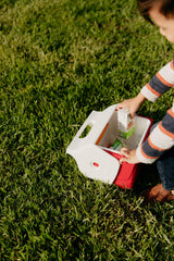 Igloo Mini Playmate easy-carry handle highlights portability for picnics or commutes.