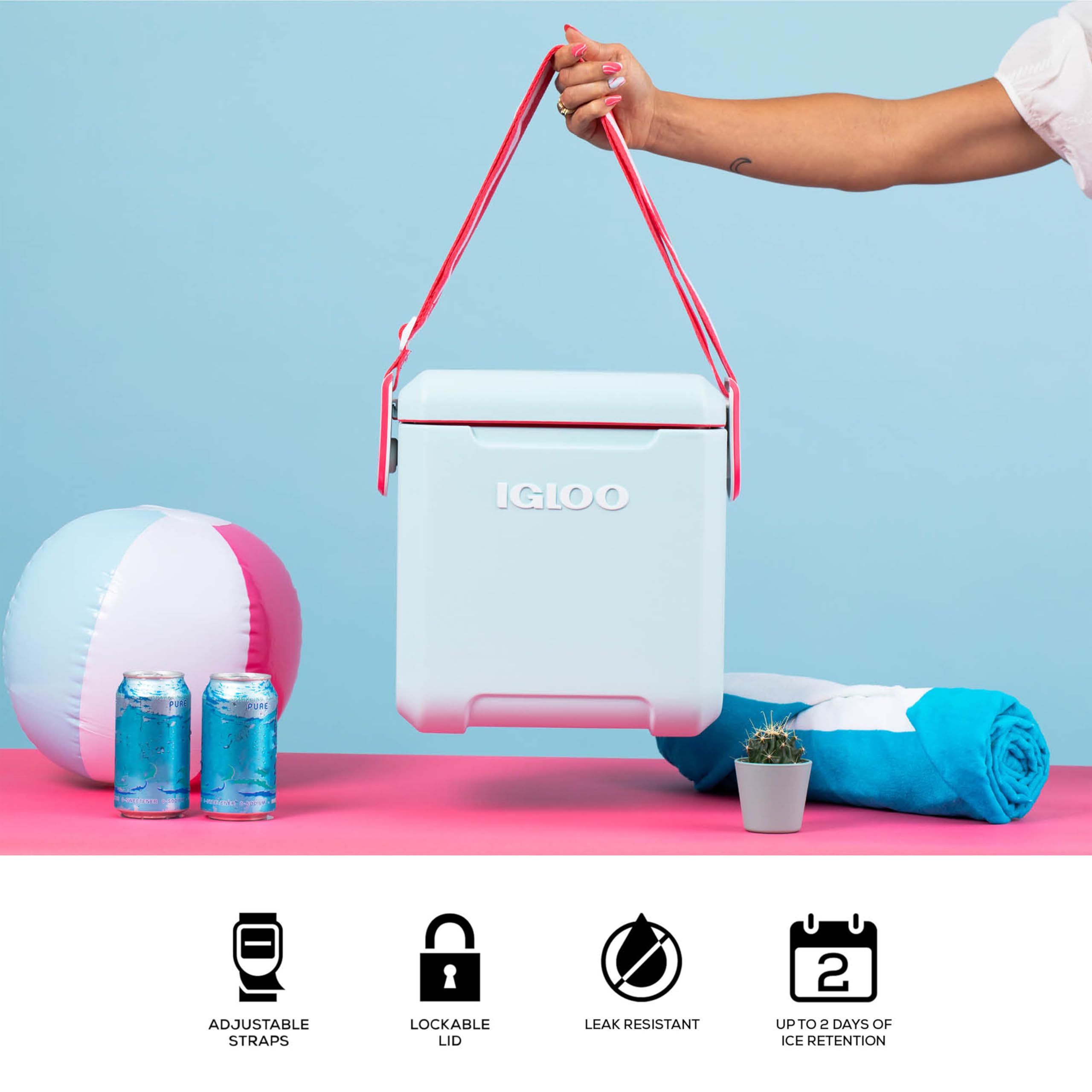 Igloo Mist 11 Qt Tag Along Too hinge detent keeps lid open until closed.