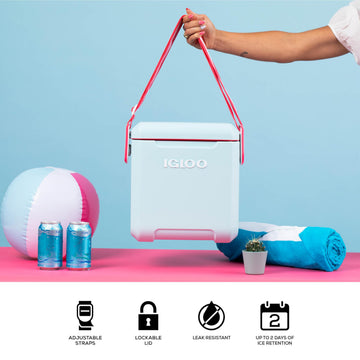 Igloo Mist 11 Qt Tag Along Too hinge detent keeps lid open until closed.