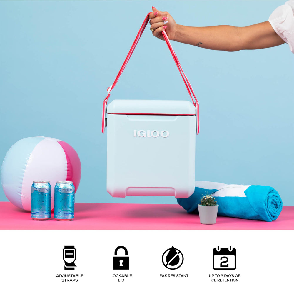 Igloo Mist 11 Qt Tag Along Too hinge detent keeps lid open until closed.