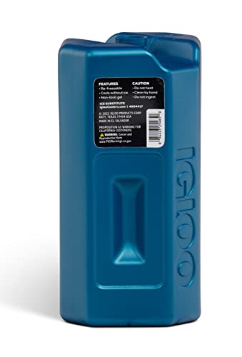 Igloo Performance Ice Blocks in a soft cooler ready for travel cooling
