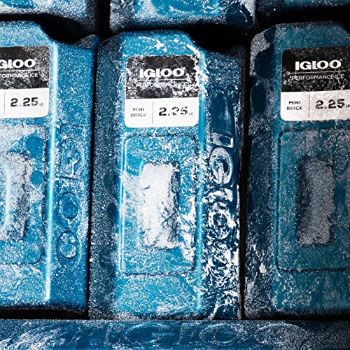 Igloo Performance Ice Blocks modular design shown for customizable chilling