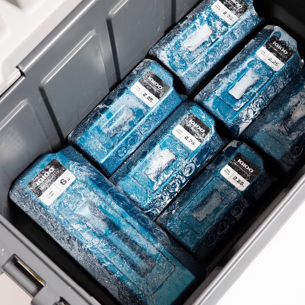 Igloo Performance Ice Blocks packed for outdoor camping use