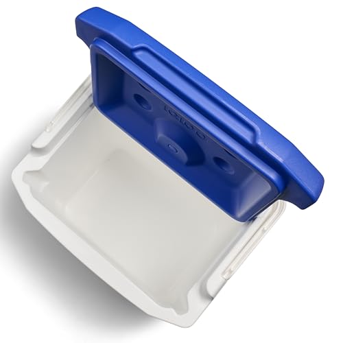 Igloo cooler interior with liner, shows easy purging through integrated pouring channels.