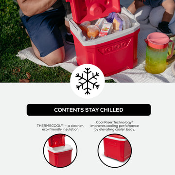 Igloo Profile II red bail handle extended for comfortable carrying