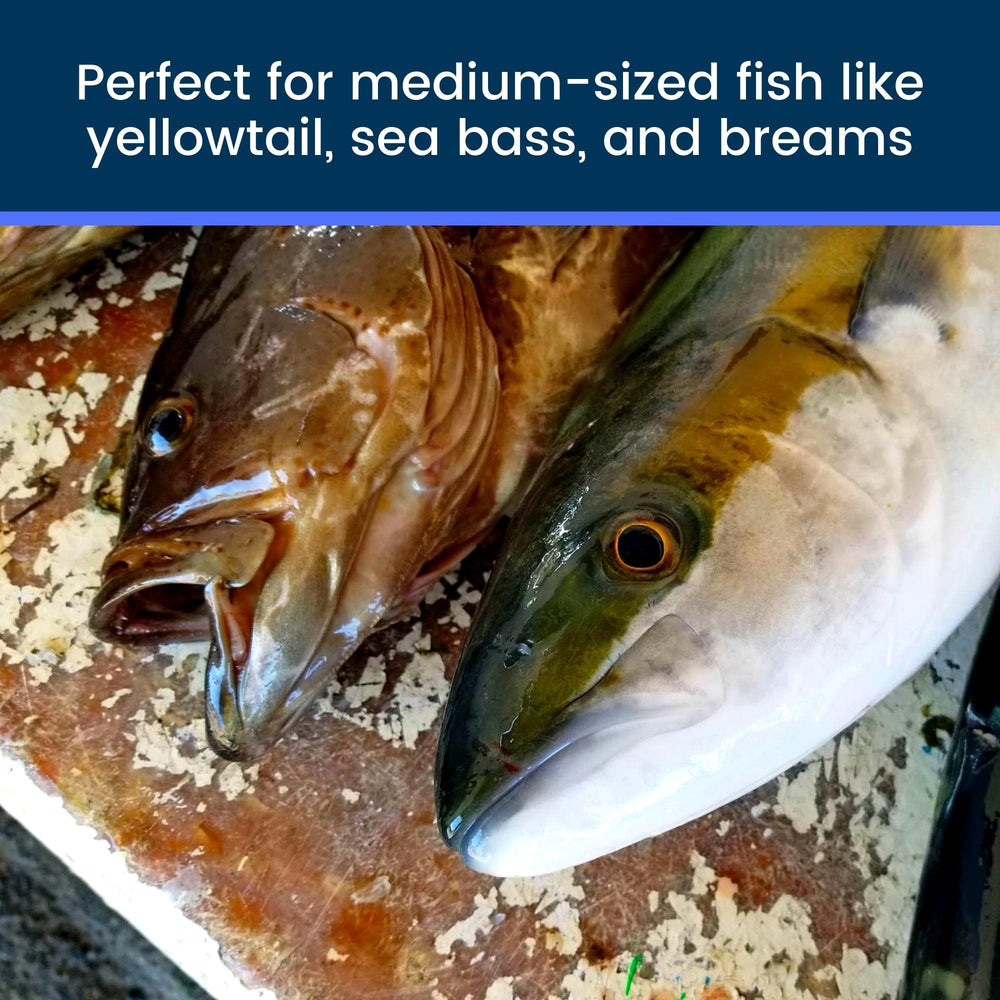 Durable carrying case for the Ikejime Kit