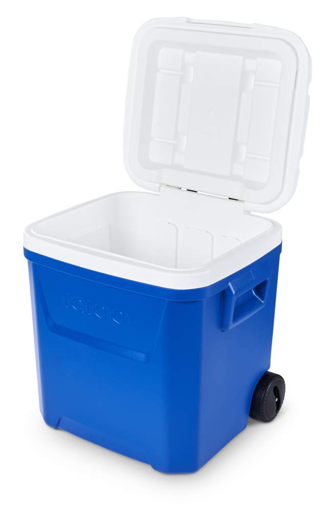Lid and exterior support easy stacking when storing