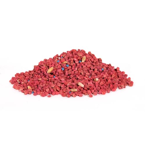 Imperial Whitetail Extreme seed blend in field setting promises resilience in low rainfall