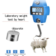 Close-up of digital sensor on blue 660 lb hanging scale