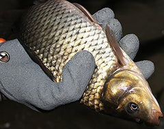 Inf-way right-hand fishing glove showcases durable PE-line construction.