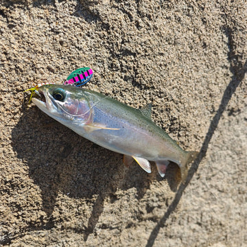 Rooster Tail spinner lure with multiple colors