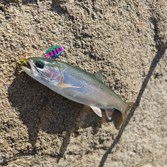Rooster Tail spinner lure with multiple colors