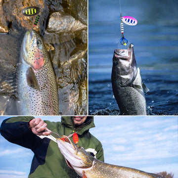 Storage case and packaging for inline spinner baits