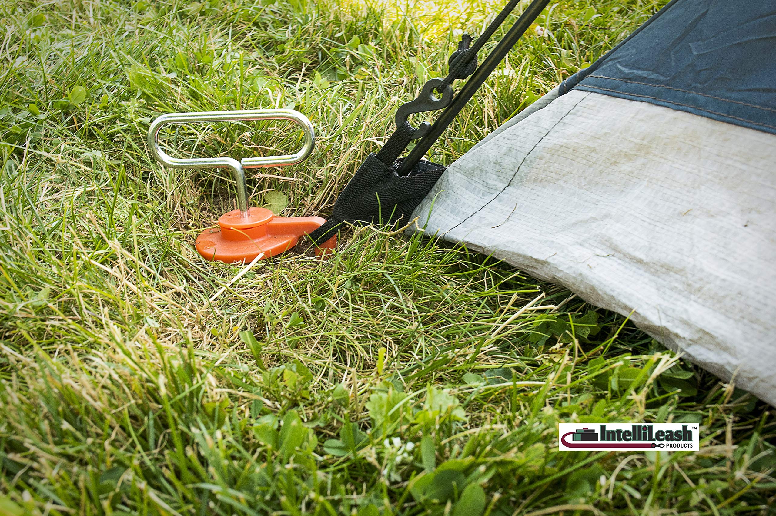 Intellileash EZ-Tent-Stayk in a camping scene providing reliable stake stability.