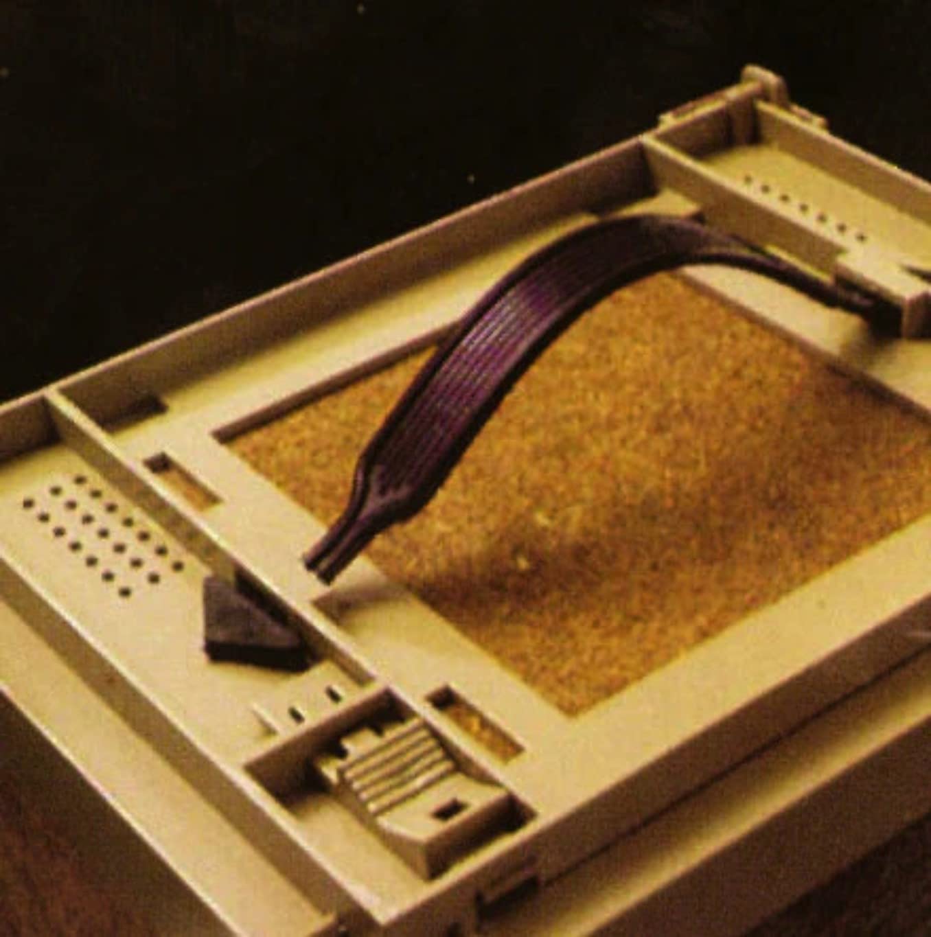 Inner view showing Good N' Lively Worm Bedding inside the bait box