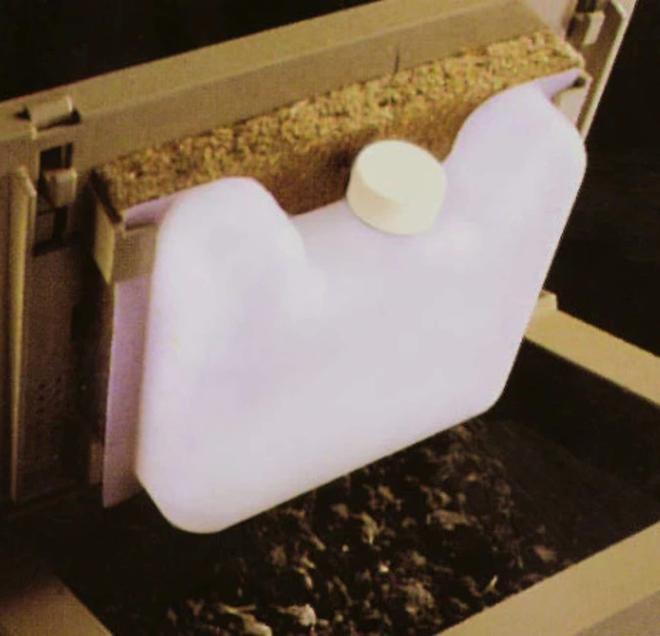 Close-up of bedding in INTRUDER CrawlerCrib bait box