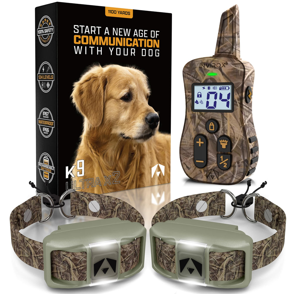 INVIROX shock collar for two dogs enables synchronized training sessions with remote control