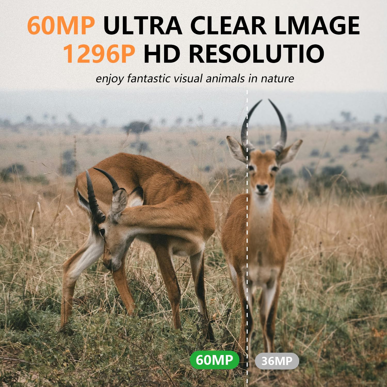 IP66 waterproof housing with instant shot activation