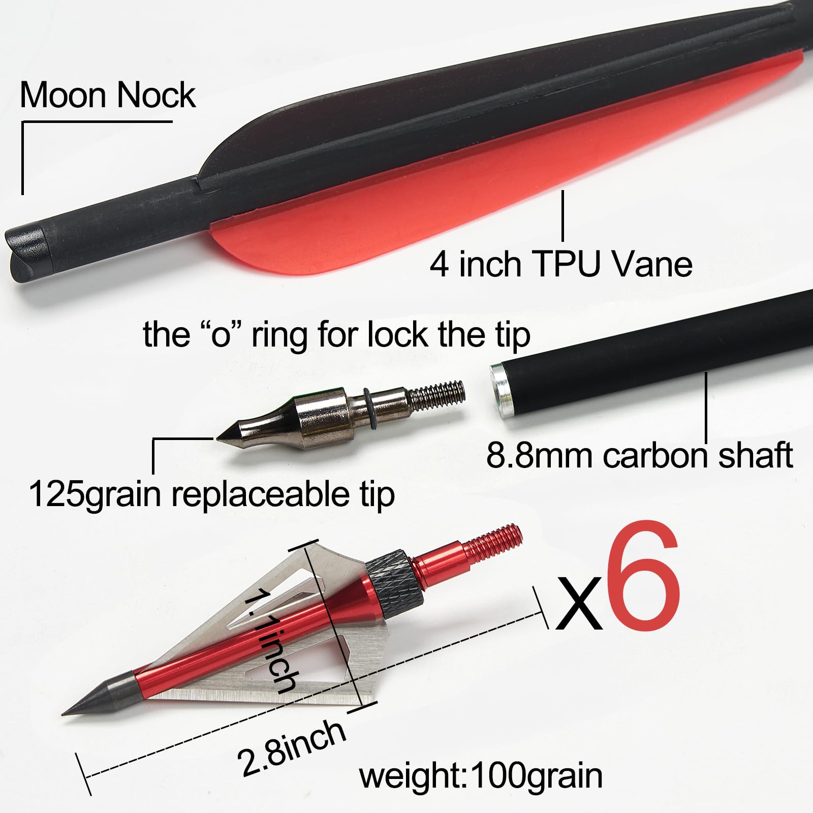 IRQ crossbow bolts with field points for consistent impact.