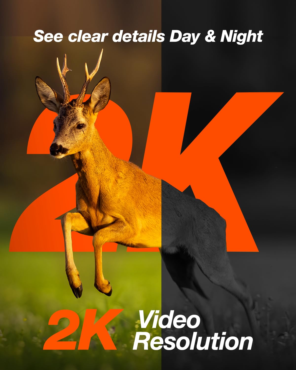 iZEEKER motion alerts notify you instantly about site activity.