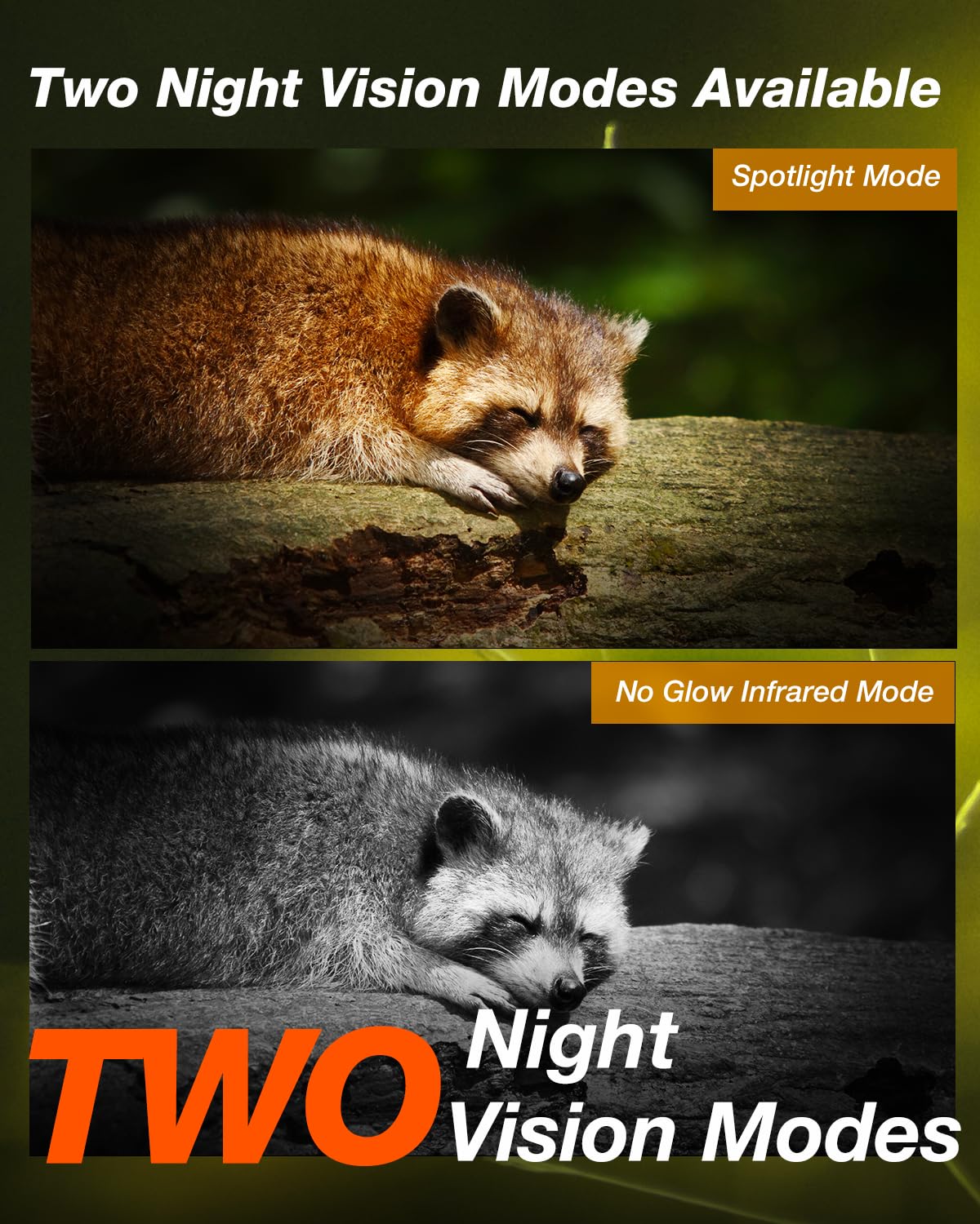 iZEEKER no-glow night vision provides discreet grayscale footage after dark.