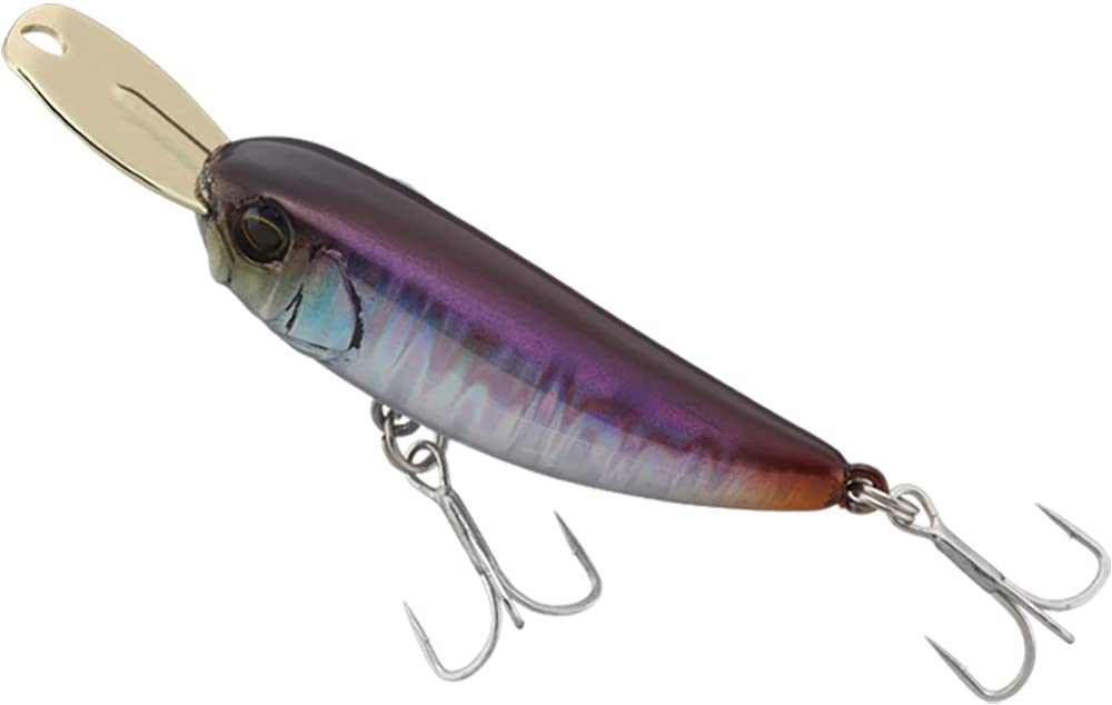 Jackall 004 Riser Bait UV Anchovy front view showcases compact 40mm profile for light-game casting.
