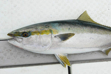 Jackall Big Backer Fall Trick 103 lure paint close-up highlighting rugged red-gold coating.