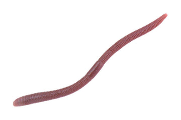 Jackall Flickshake 3.8in two-tone Dobworm with glossy roll action attracts bass