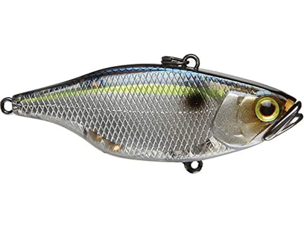 Jackall JTN50-SGTH Threadfin Shad lure with lifelike action for freshwater fishing