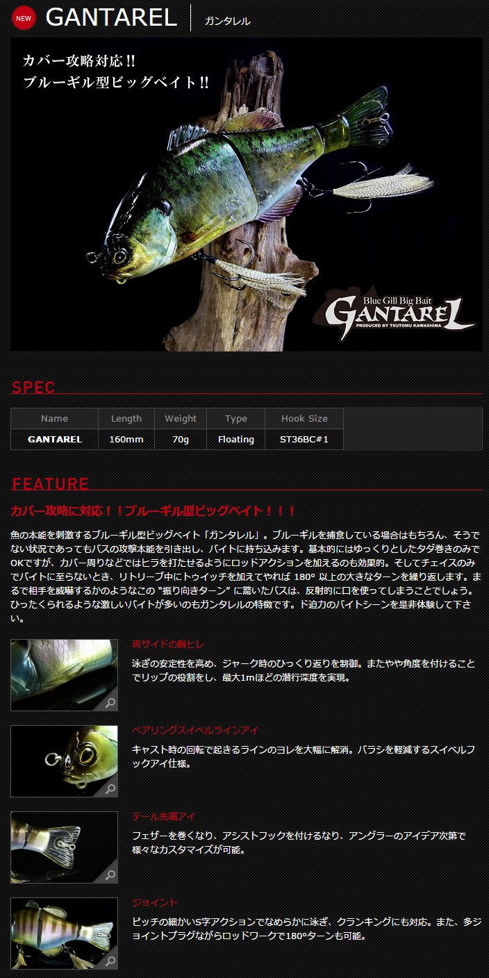 Jackall RT Kawashima Albinogir lure action shot highlights flick turns and cover aggression.