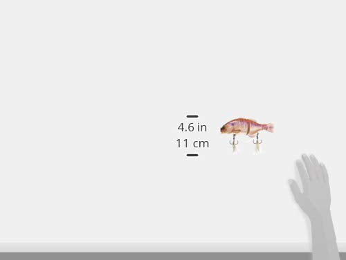 Jackall RT Kawashima Albinogir lure underwater glide demonstrates realistic bluegill mimicry.