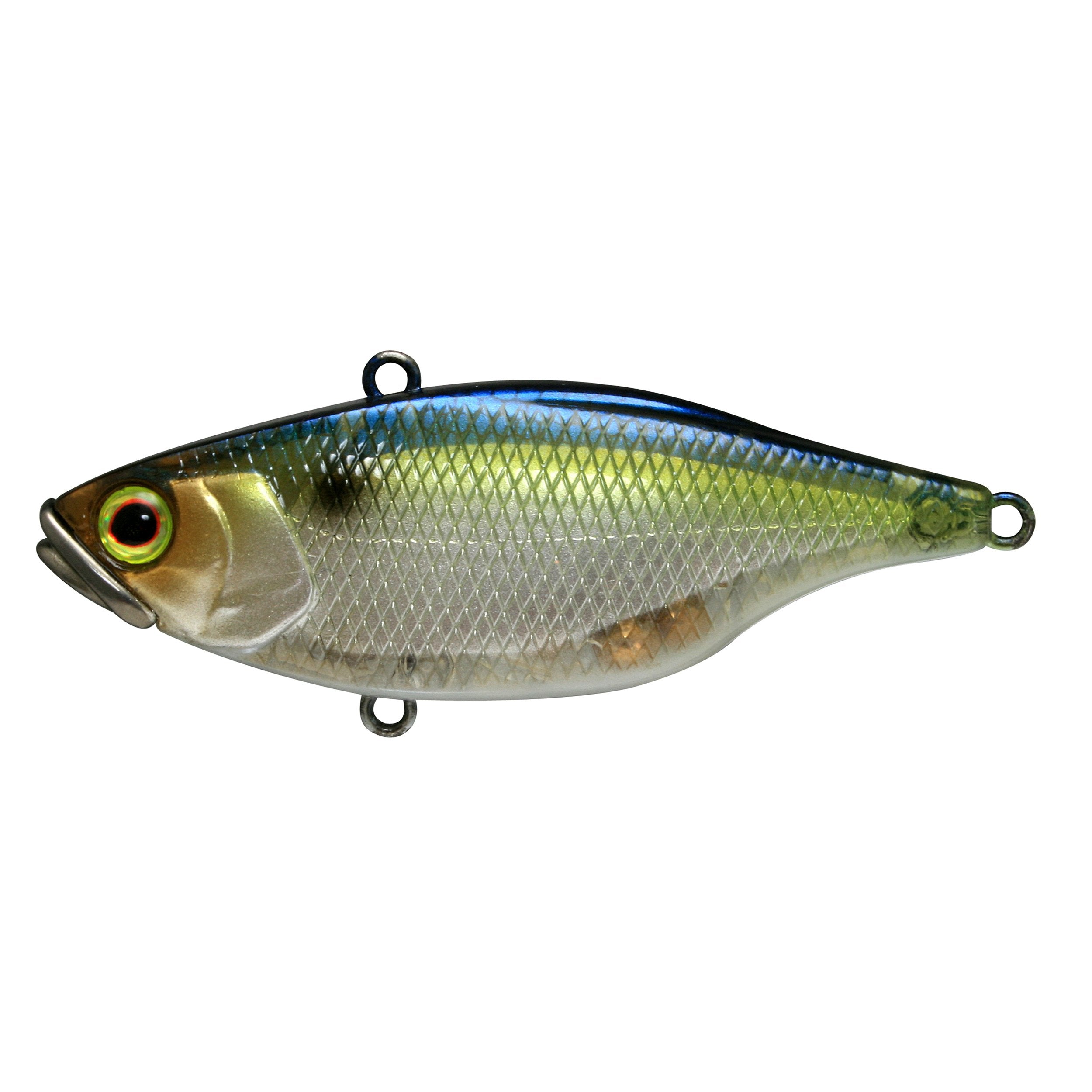 Jackall TN60 SG Threadfin Shad lipless crank lure for precise bottom contact and long casts