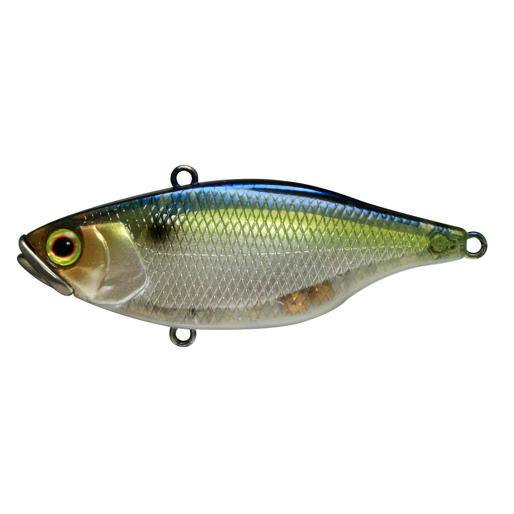Jackall TN60 SG Threadfin Shad lipless crank lure for precise bottom contact and long casts
