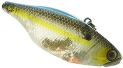 Jack All TN 70 SS Shad front view, a sleek profile for long casts.