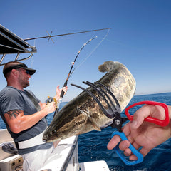 JDUNGSD two-claw clamp adds size versatility for different catches