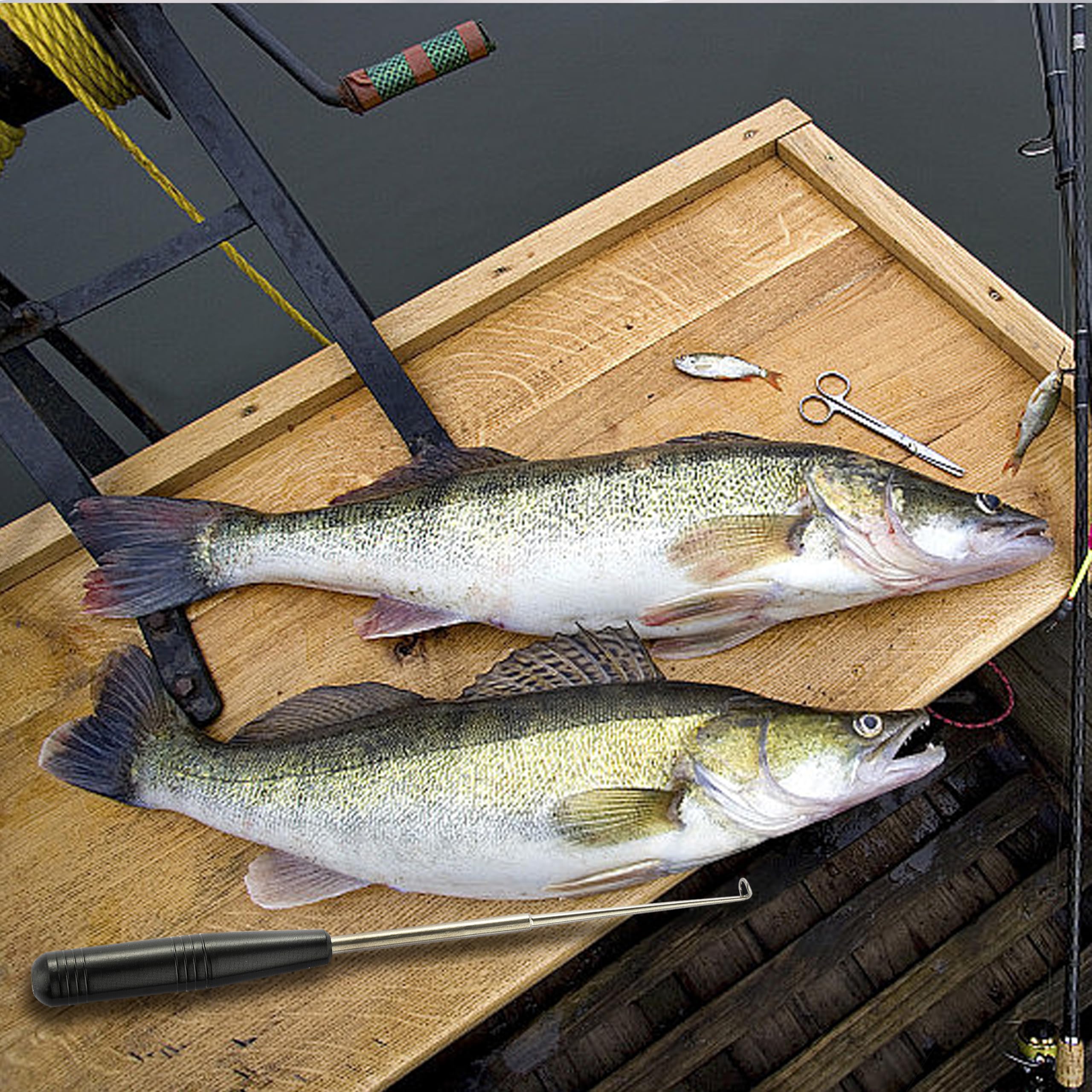 Suitable for freshwater fishing