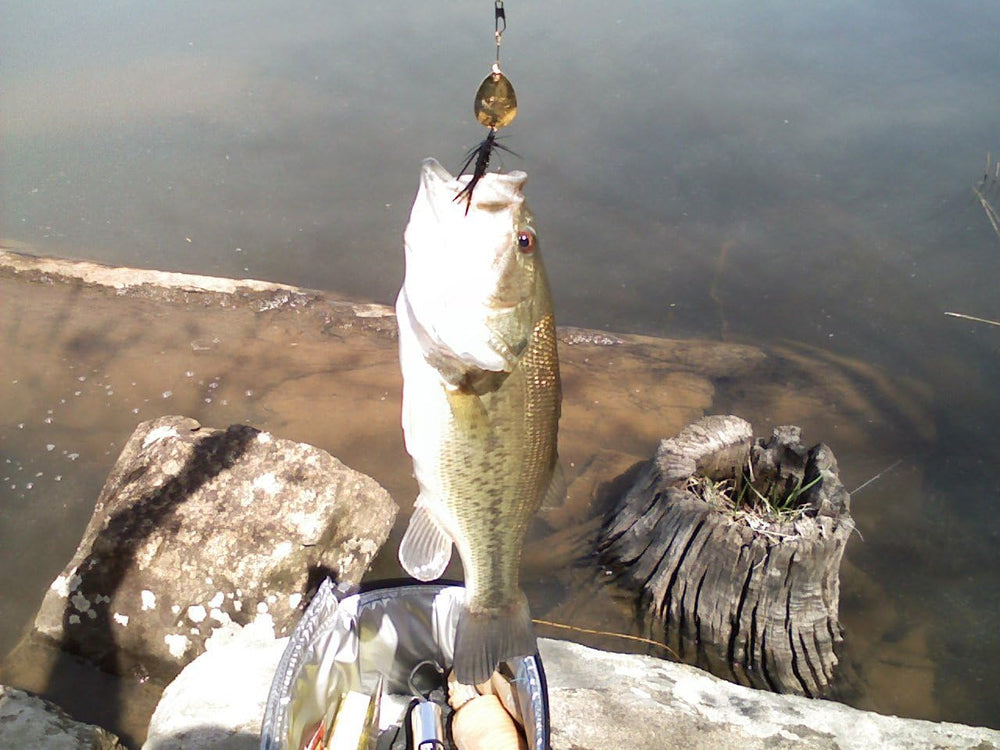 Smallmouth bass fishing with Super Striker lures