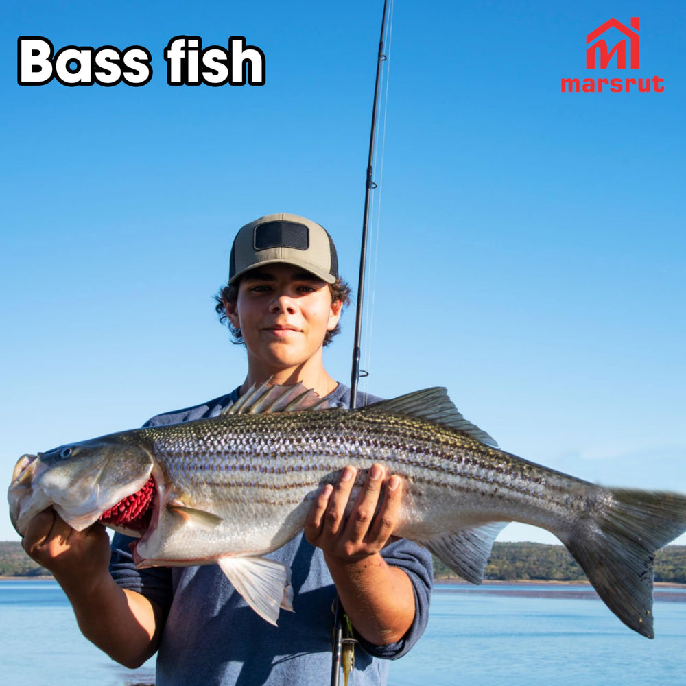 Internal balancing ball inside lure
