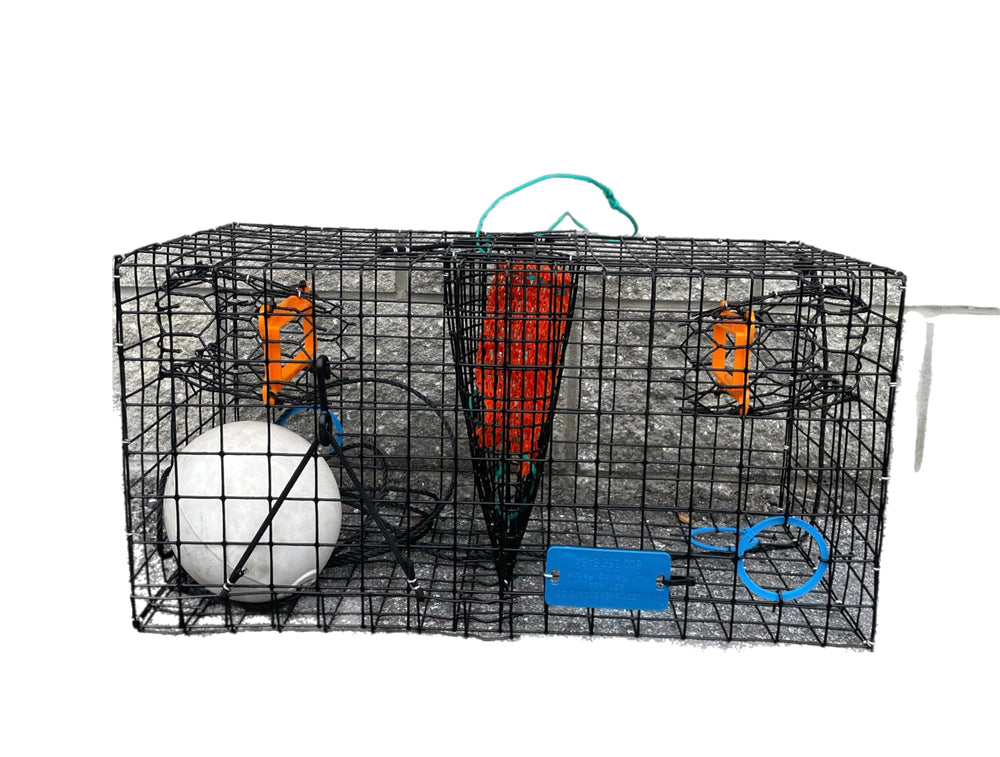 Trap showing two funnels and escape rings for higher catch efficiency