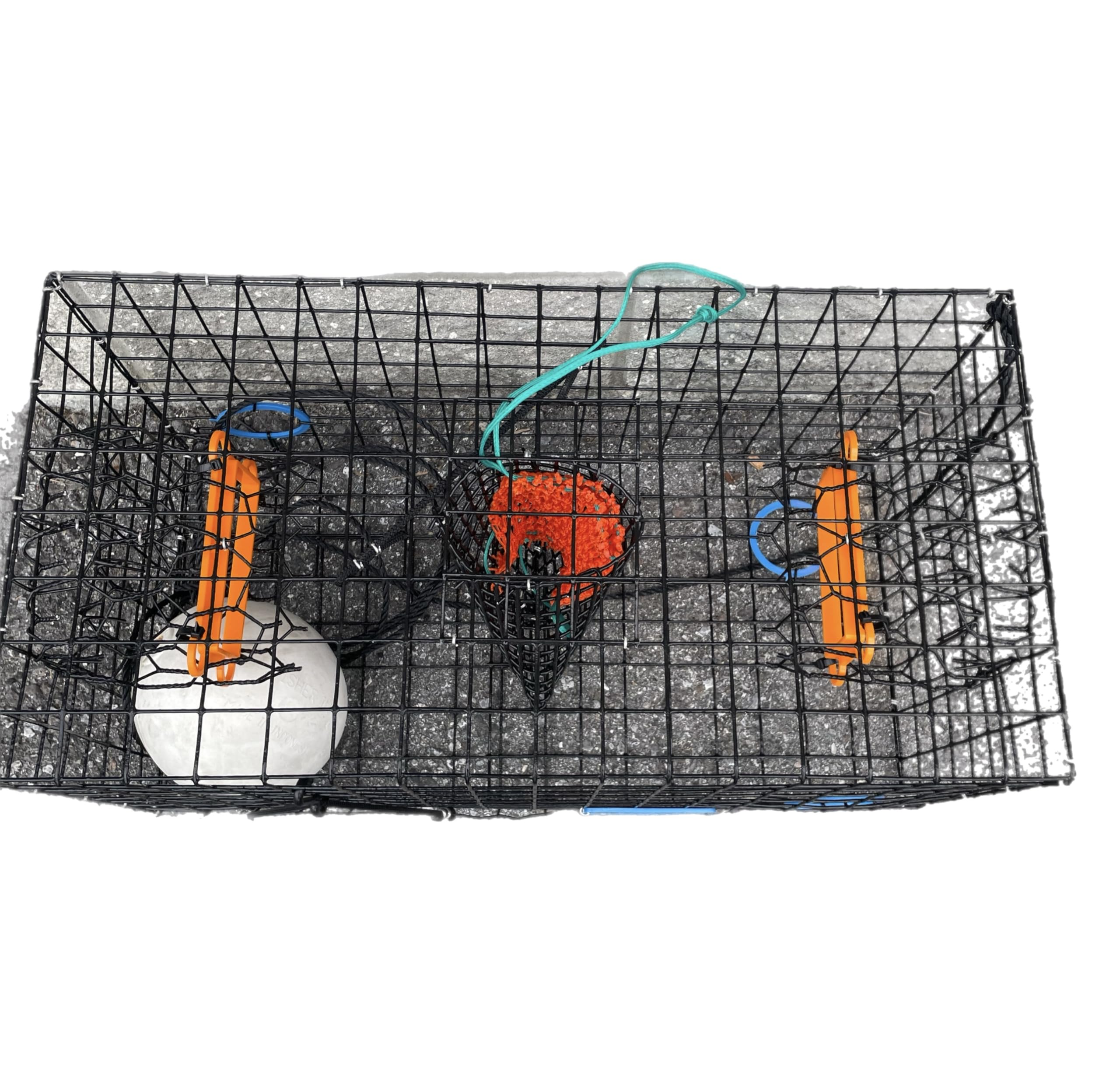 Includes crab and lobster gauge to measure legal crab sizes