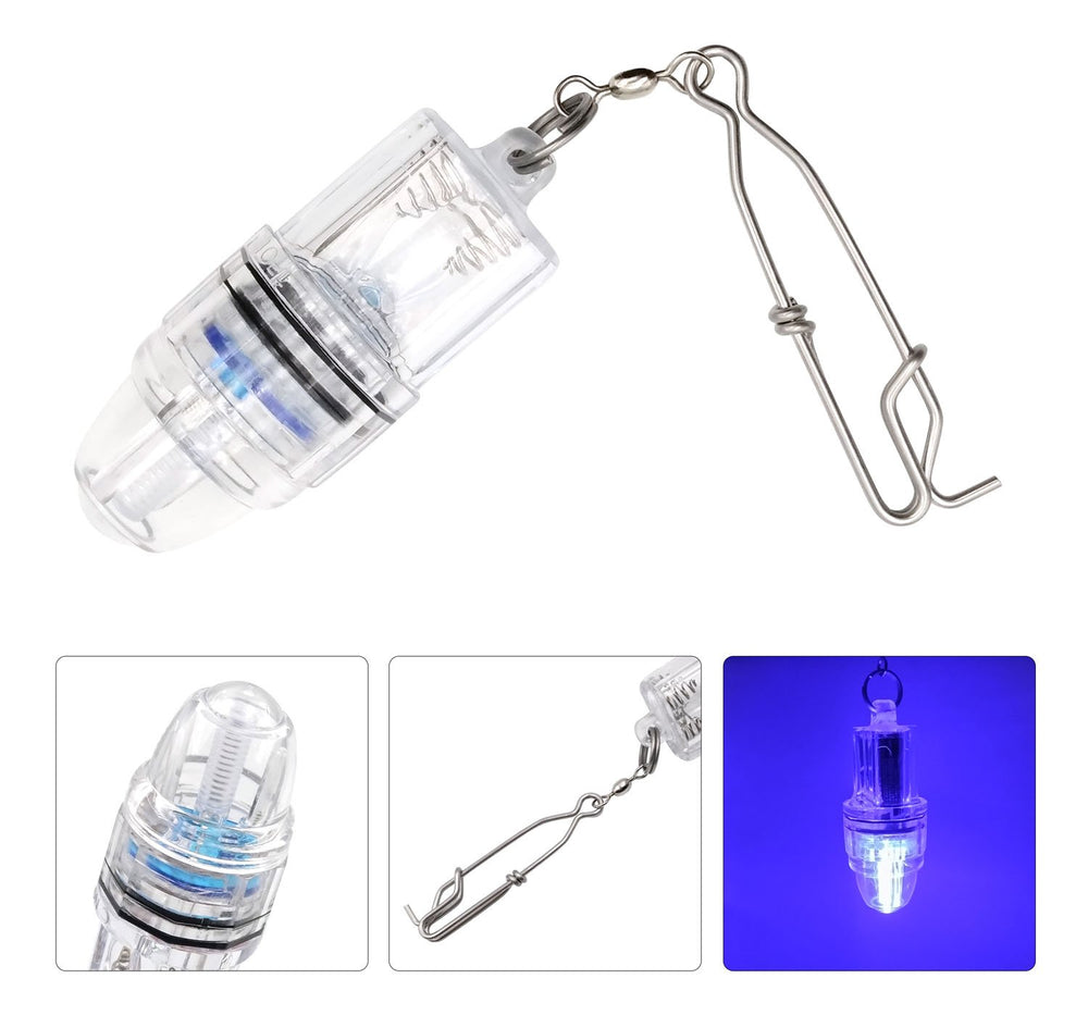 Bright green fishing light attracting squid and tuna underwater