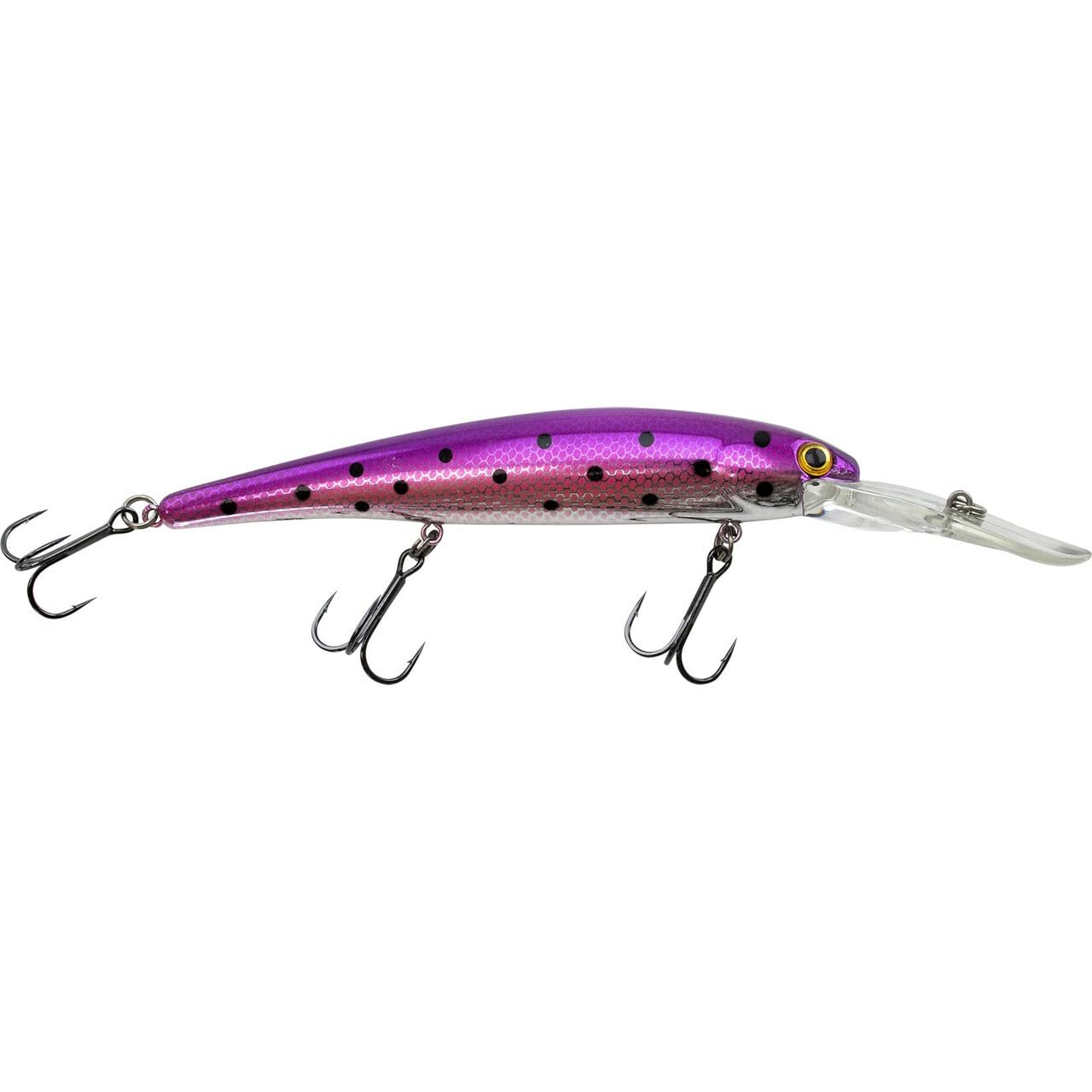 Packaged Bandit Walleye Deep Diver ready for multi-species fishing adventures.