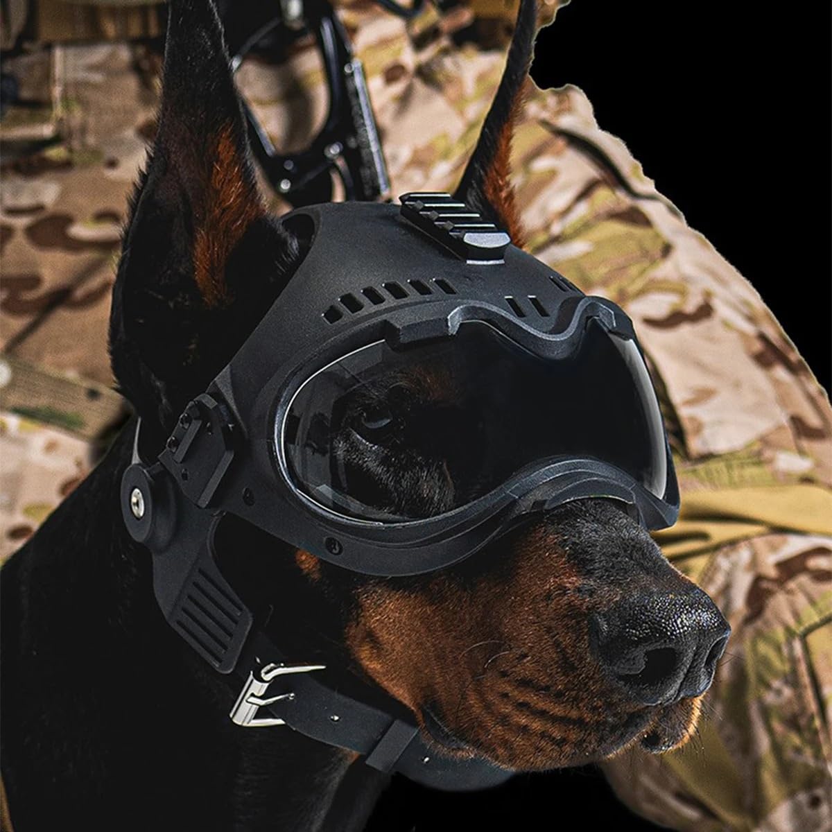 Jungle Leopard K9 eye protection goggles with clear lenses for daytime visibility.