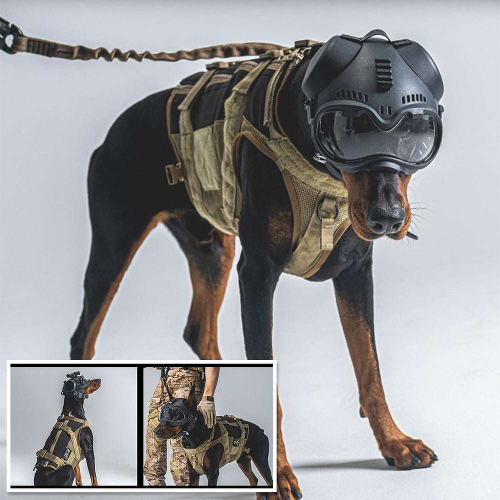 Jungle Leopard K9 helmet padded with EVA inserts for a snug fit.