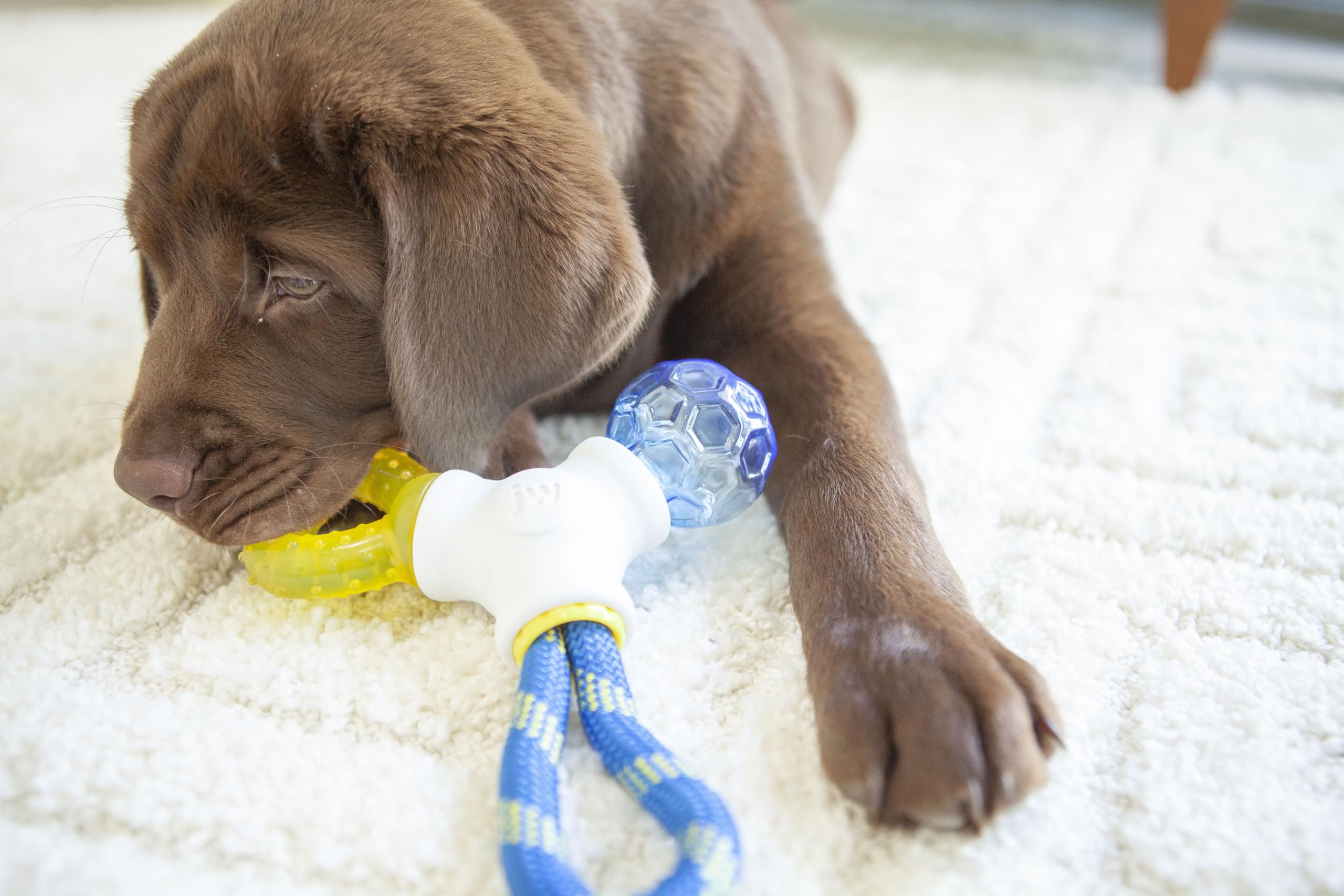 JW Puppy Connects versatile design encourages multiple play styles.