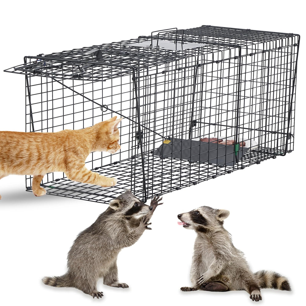 JY CLASSIC humane live-trap 37-inch front view for safe wildlife capture and reuse.
