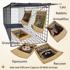 JY CLASSIC humane live-trap reusable design simplifies cleanup after use.